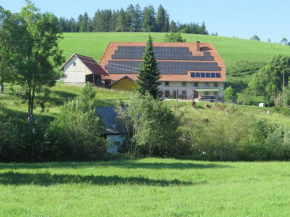  Cosy detached holiday home with terrace in the Black Forest  Санкт-Георген